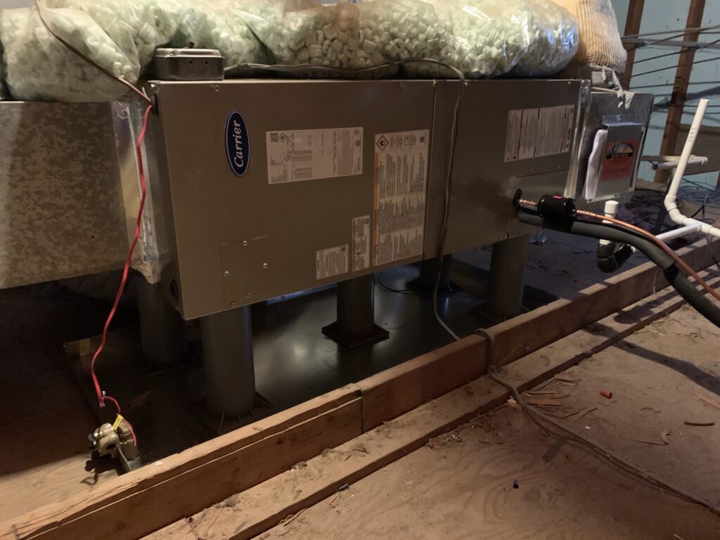 Falcone After Scaled